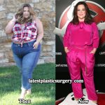 Melissa McCarthy Weight Loss Before and After Over The Years