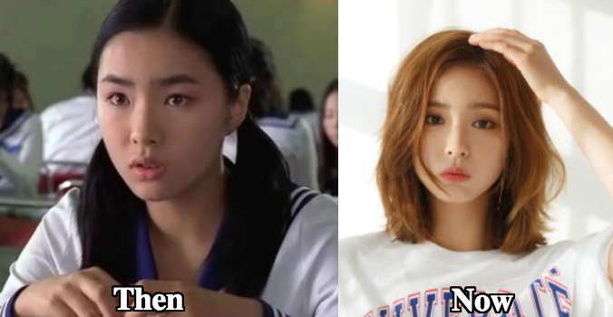 Did Shin Se Kyung undergo plastic surgery? 